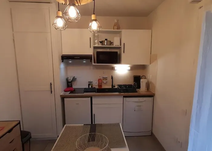 Du Chamois Roux, Dans De Tourisme 3 Etoiles Apartamento